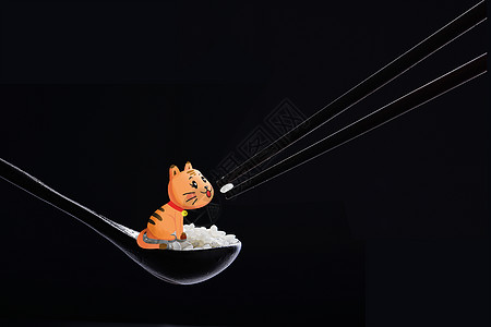一碗 米饭猫插画