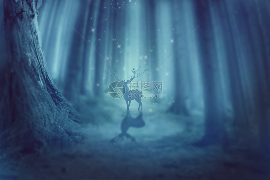 神秘森林小鹿图片