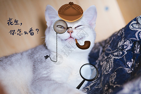 侦探猫搞怪名侦探高清图片
