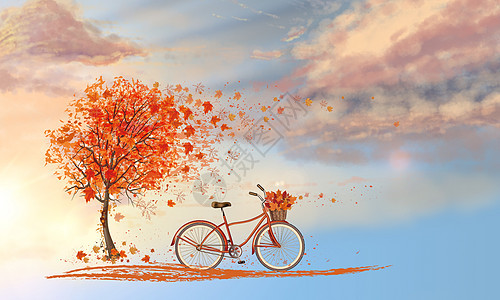 枫树下的自行车背景图片