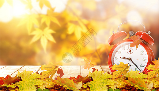 舒适风景秋季叶子背景设计图片