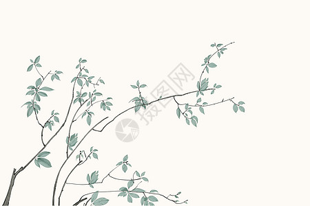 植物背景留白植物插画高清图片