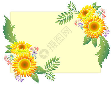 向日葵植物花卉图片