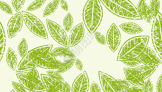 石灰纹理绿色叶脉设计图片