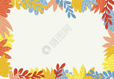 叶子背景秋天热带植物高清图片