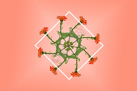 橙色边框旋转花朵背景设计图片