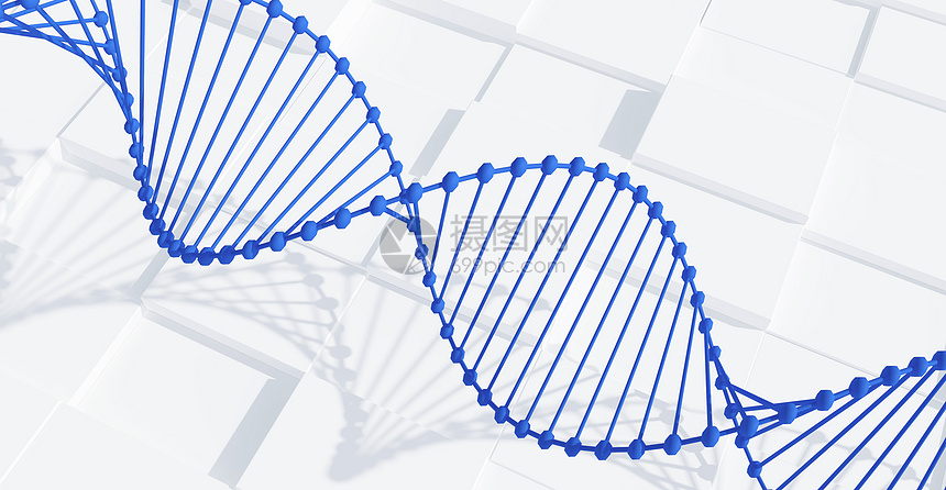 DNA双螺旋结构图片