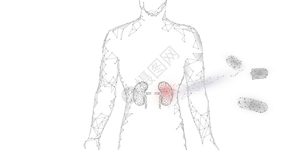 人体肾脏治疗图片