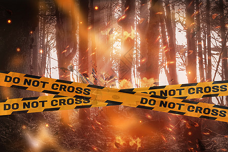 森林失火图片
