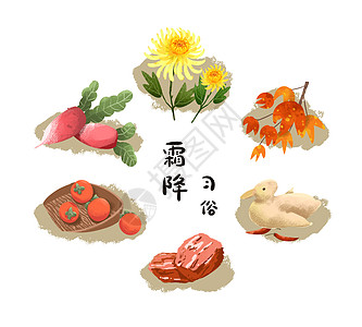 萝卜牛肉霜降习俗插画