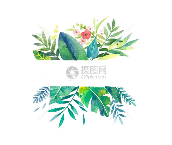 小清新花卉边框透明底图片