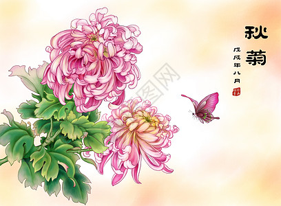 秋菊重阳节工笔插画高清图片