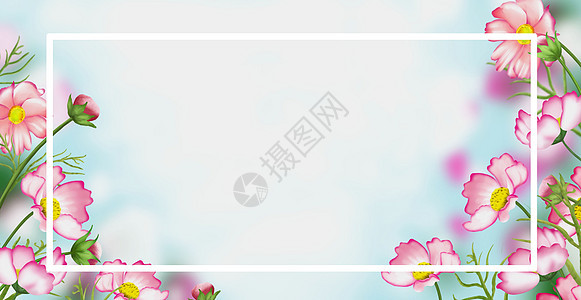 清新花卉插画背景图片
