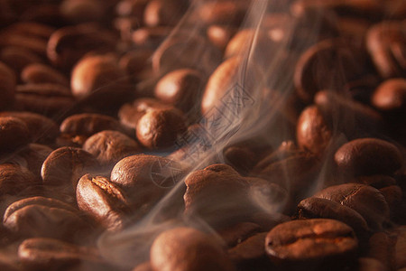 咖啡豆猫屎咖啡猫咖啡高清图片