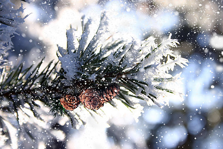 小雪背景图片