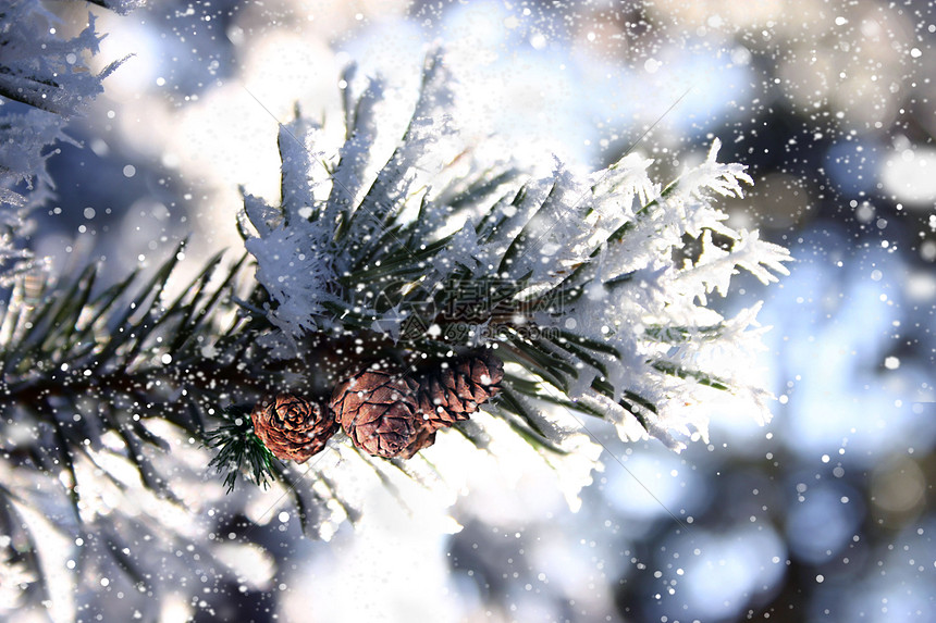 小雪背景图片