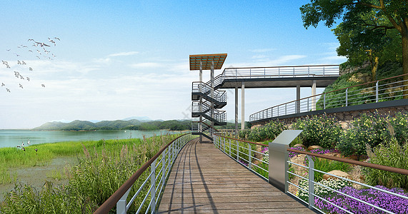 湿地生态系统湿地公园景观设计图片