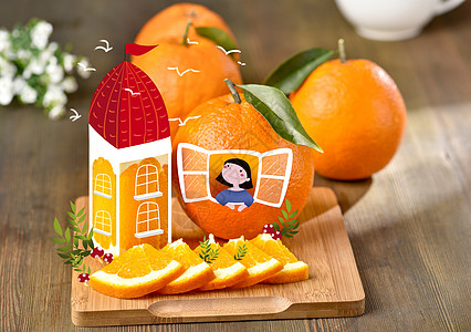 脐橙店招橙子插画