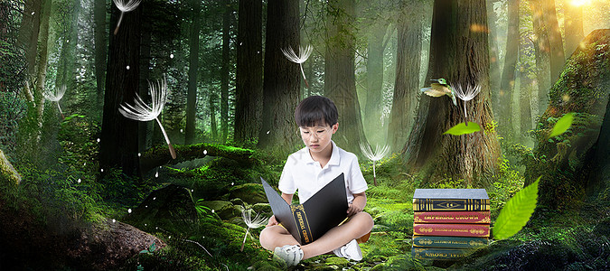 梦幻森林儿童阅读图片
