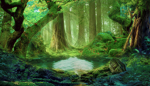 梦幻森林图片素材