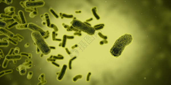 细菌细胞场景图片
