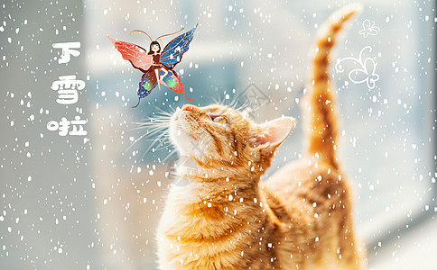 雪猫图片 雪猫素材 雪猫模板下载 摄图网 雪猫图片 雪猫素材 雪猫模板下载 摄图网