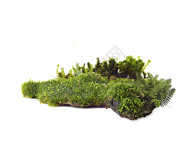 立体草块场景图片素材