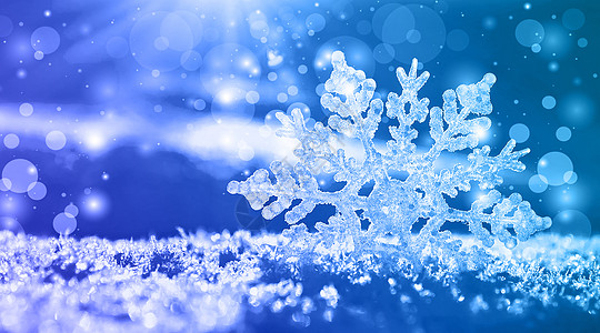 白天冬季雪花背景设计图片