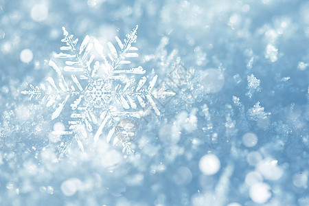 雪花背景图片素材 正版创意图片 摄图网