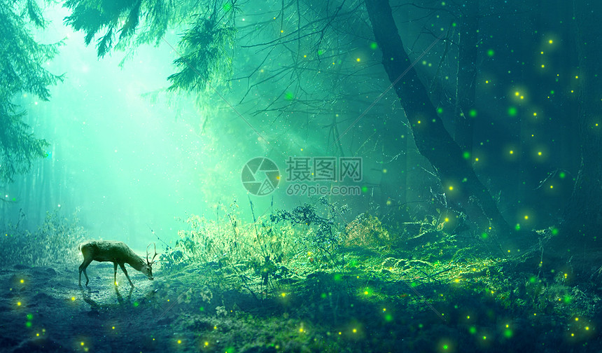 梦幻森林背景图片素材 正版创意图片 摄图网 梦幻森林背景图片素材 正版创意图片 摄图网