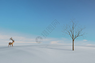 雪地里的梅花鹿图片