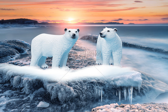 冰面上的北极熊图片