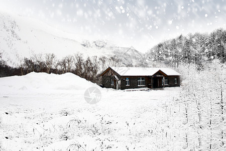 雪景色图片 雪景色素材 雪景色高清图片 摄图网图片下载 雪景色图片 雪景色素材 雪景色高清图片 摄图网图片下载