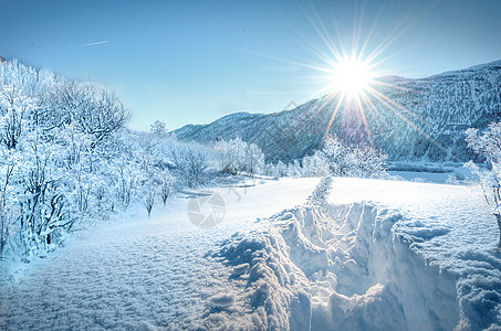 冬季雪景图片