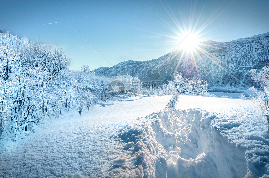 冬季雪景图片