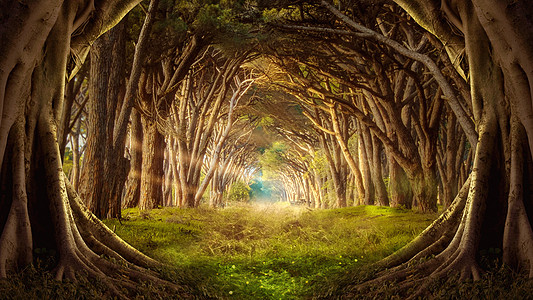 童话小镇梦幻森林场景设计图片
