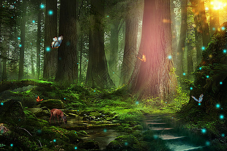 唯美森林背景图片 唯美森林背景素材 唯美森林底图 摄图网