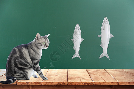 想吃鱼的猫图片