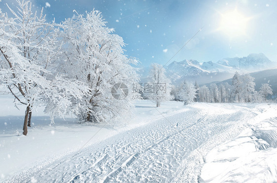 冬天雪景图片