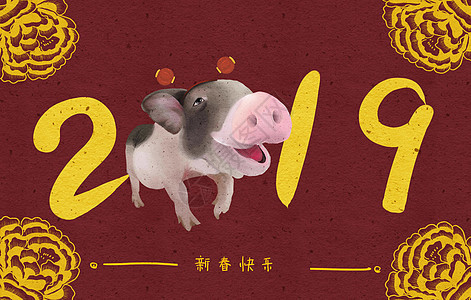 2019新春猪图片