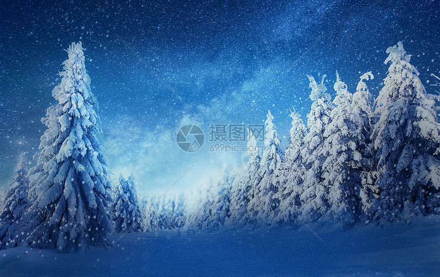 雪夜图片