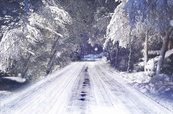 雪景图片