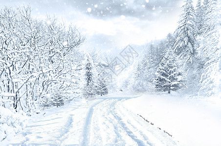 被雪覆盖冬天雪景设计图片