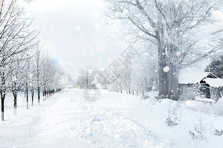 被雪覆盖冬天雪景设计图片