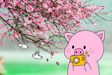 创意拍照小猪图片