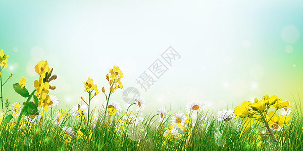 春天的花丛背景图片