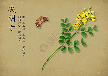 中国风字素材手绘中国风中药插画
