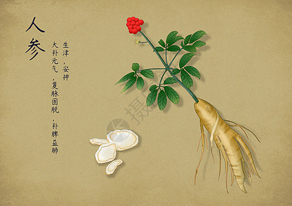 手绘中国风中药背景图片