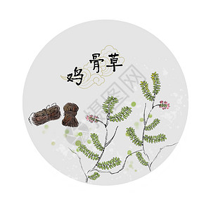 中草药插画图片