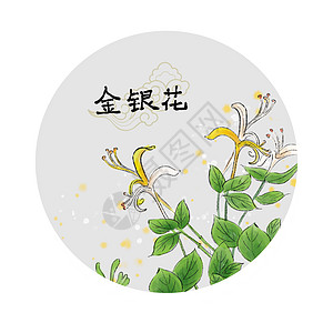 中草药插画图片